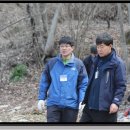 자연산약초 이미지