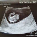 호산여성의원 이미지