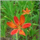 사간의향기 이미지