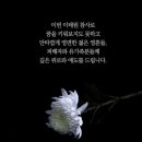 갯마을횟집 이미지