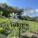 용연농장 이미지