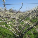 농부의 정원 이미지