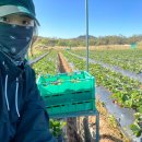 예진농장 이미지