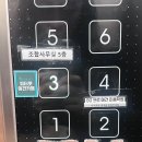 피터펫 애견카페 부산북구점 이미지