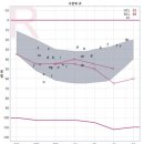 마루보청기