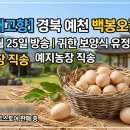 예천 백봉오골계 농장