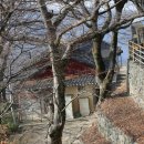 주사암 - 1660 | 주사암