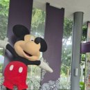 블랑코치킨 이미지