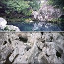 돌담숲 이미지