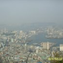 아미초교 이미지