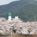 굿모닝병원 Daum카페