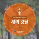 새의 깃털은 어떻게 진화해 왔나?