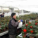 증산농장 이미지