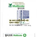 멀티코트 이미지