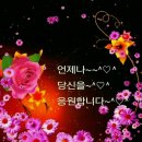 개이쁨 이미지