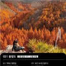 스타벅스 평택서정DT점 이미지