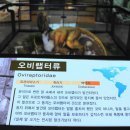 고성공룡박물관 이미지