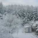 다산농원 이미지