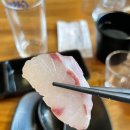 문씨네 | [행신] 문씨네숙성회 내돈내산후기 행신술집추천