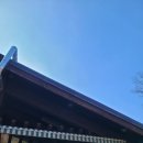 힐링(만인산) | 봉이호떡 대전 호떡 맛집 만인산 봉이호떡 호떡 어묵 가래떡 내돈내산 후기