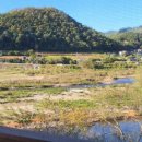 리버샤인빌리지 이미지