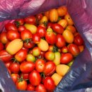 양감농장 이미지