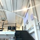 조용한 흥분색 이미지