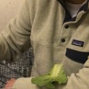 스테이 경화 이미지