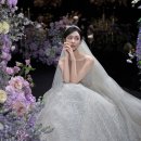 Wedding 09. 아이폰 스냅 마이디어 계약 후기📱💍