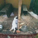 삼평어린이집 이미지