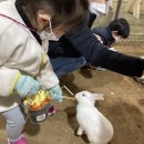 칠천농장 네이버블로그