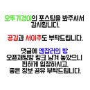 동천굽네치킨 - 경주시 동천로 39 | 동천굽네치킨