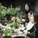 스프링가든 이미지