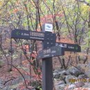 도봉야영장 이미지