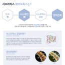 이윤헤어 네이버블로그