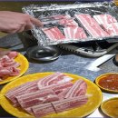 개나리써비스 이미지