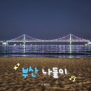 타코비 광안점 | [부산 나들이] 개금시장 | 광안리 | 미피 팝업 | 아크앤북 | 쉑쉑 홀스래디쉬 스테이크하우스 버거