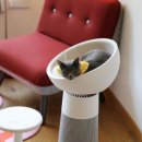 모두의 집사 이미지