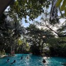 드래곤풀빌라1 | 푸라마 리조트 다낭 2베드룸 풀빌라 조식 체크인 시간 비용 후기