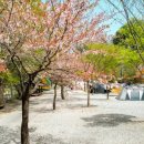 지지벨리유명산오토캠핑장 이미지
