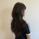 윤건헤어 | [마곡/발산] 마곡나루역 미용실 여자 커트 잘하는 곳 | 에이바헤어 윤건 팀장님 레이어드컷 후기