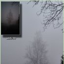 촌부의 단상-시덥잖은 화두(話頭) 이미지