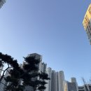 행정사조현기사무소 이미지