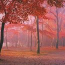 재송1동-11 이미지