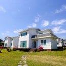 강정동-35 이미지