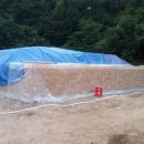 여주강천(골조5일차)--wall조립. sheathing. 이미지