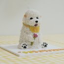 개맛있개 이미지