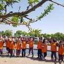 궁전어린이집 이미지