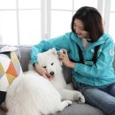 펫메이트(주) 이미지