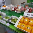삼조유통 이미지